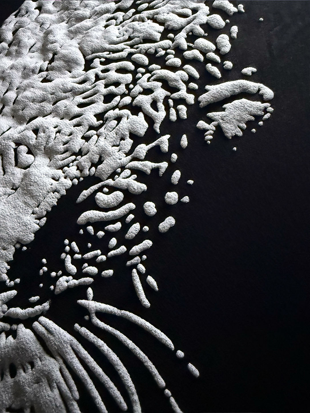 ZOOMED PRINT DETAIL