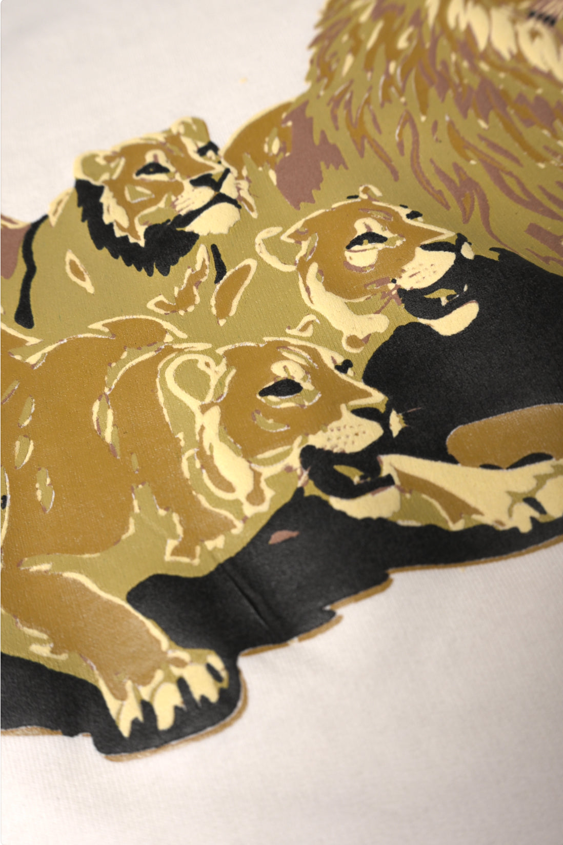 ZOOMED PRINT DETAIL